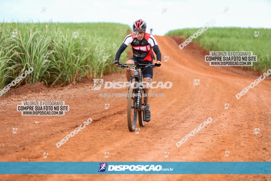 1ª EDIÇÃO DESAFIO ABELHA GRANDE - XCM