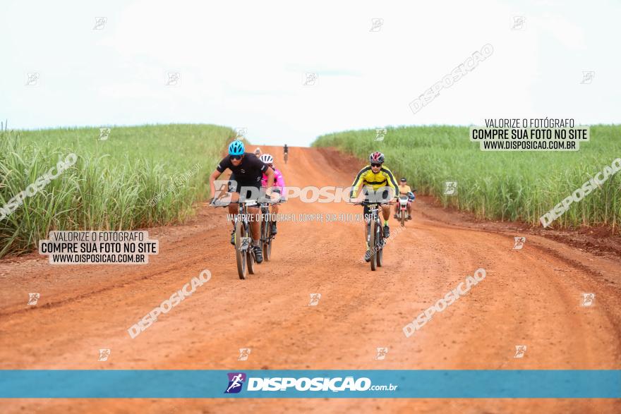 1ª EDIÇÃO DESAFIO ABELHA GRANDE - XCM