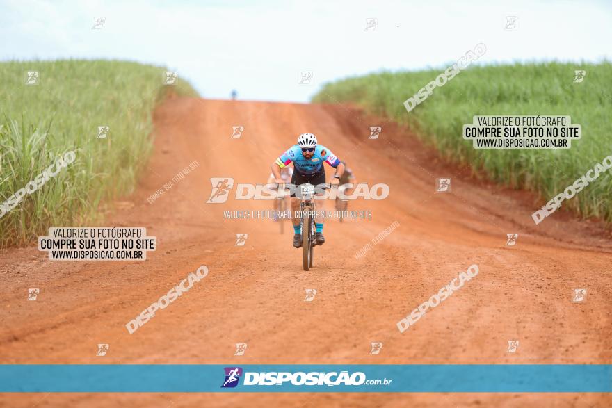 1ª EDIÇÃO DESAFIO ABELHA GRANDE - XCM