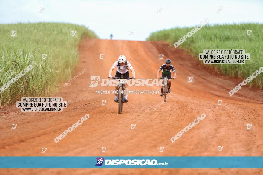 1ª EDIÇÃO DESAFIO ABELHA GRANDE - XCM