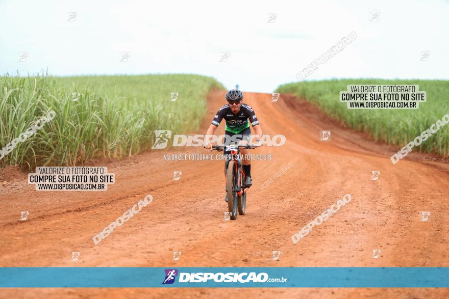 1ª EDIÇÃO DESAFIO ABELHA GRANDE - XCM