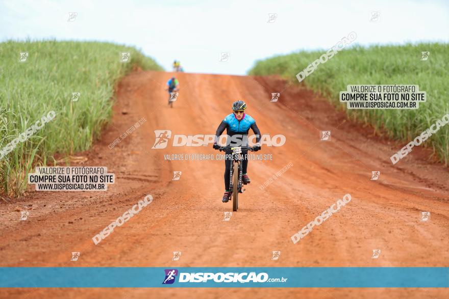 1ª EDIÇÃO DESAFIO ABELHA GRANDE - XCM