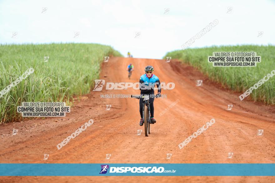 1ª EDIÇÃO DESAFIO ABELHA GRANDE - XCM