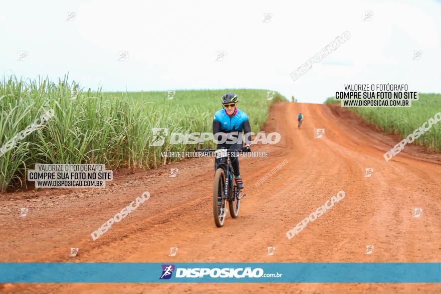 1ª EDIÇÃO DESAFIO ABELHA GRANDE - XCM