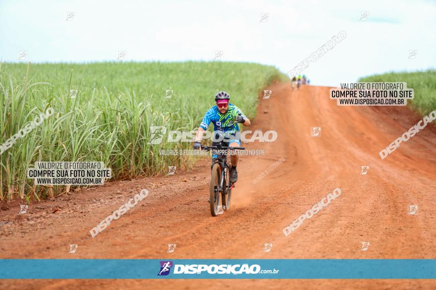 1ª EDIÇÃO DESAFIO ABELHA GRANDE - XCM