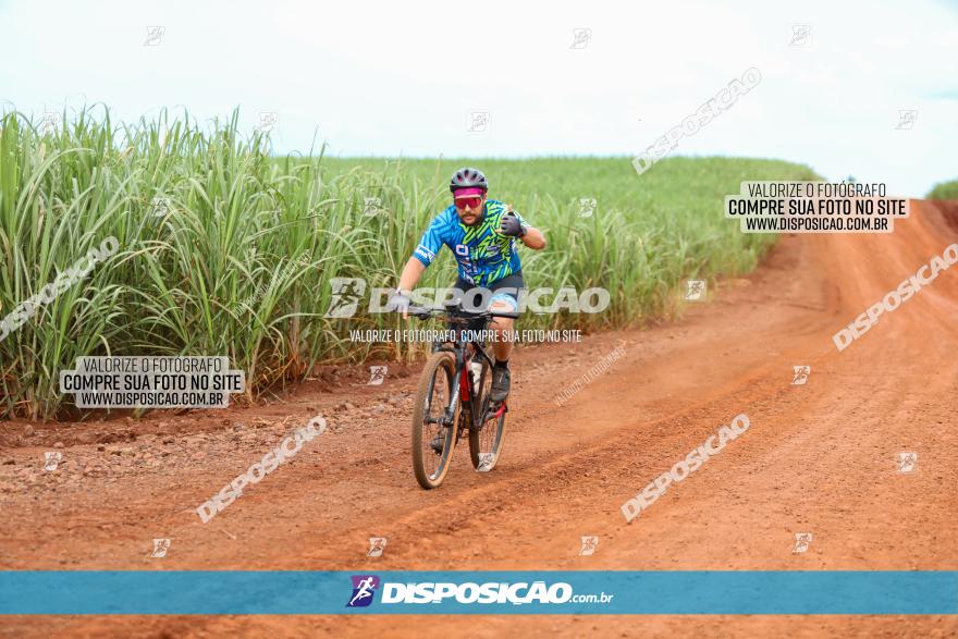 1ª EDIÇÃO DESAFIO ABELHA GRANDE - XCM