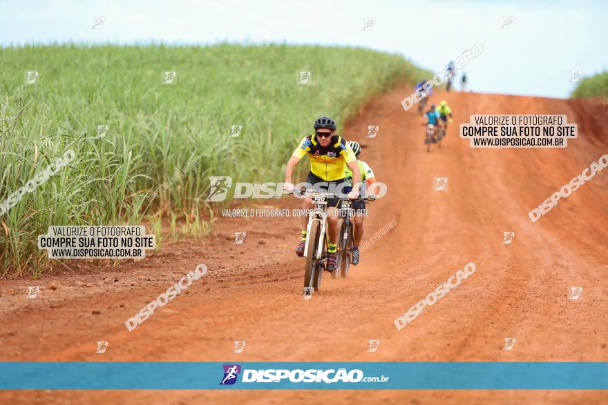 1ª EDIÇÃO DESAFIO ABELHA GRANDE - XCM