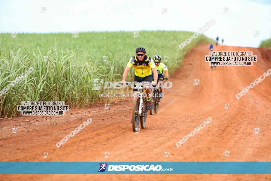 1ª EDIÇÃO DESAFIO ABELHA GRANDE - XCM