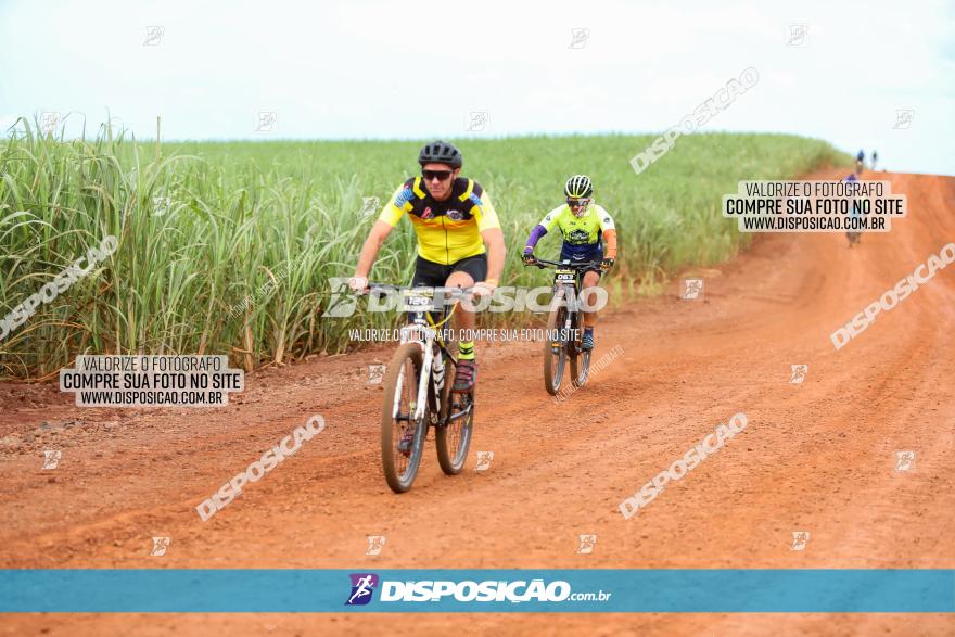 1ª EDIÇÃO DESAFIO ABELHA GRANDE - XCM