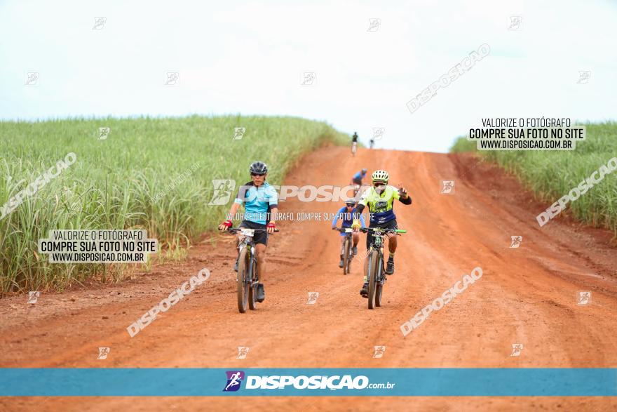 1ª EDIÇÃO DESAFIO ABELHA GRANDE - XCM