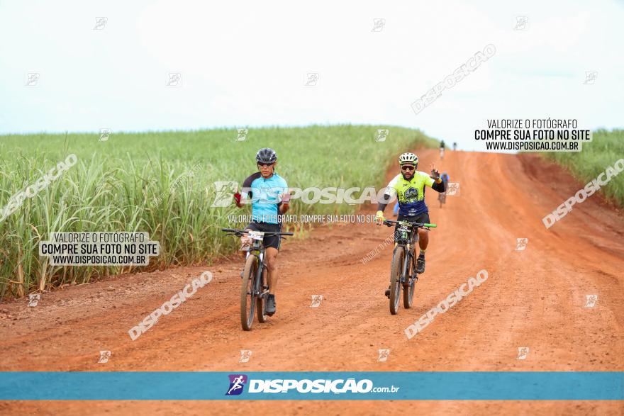 1ª EDIÇÃO DESAFIO ABELHA GRANDE - XCM