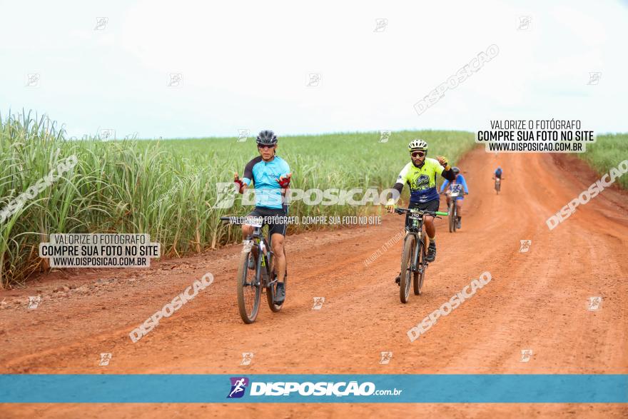 1ª EDIÇÃO DESAFIO ABELHA GRANDE - XCM