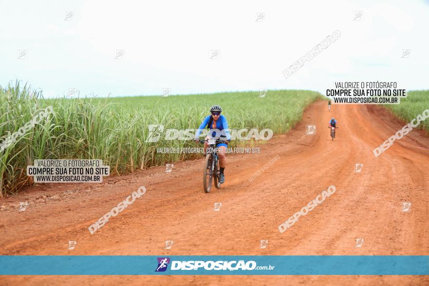 1ª EDIÇÃO DESAFIO ABELHA GRANDE - XCM