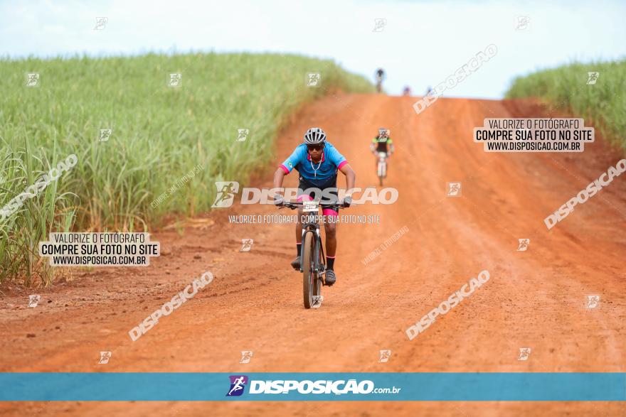 1ª EDIÇÃO DESAFIO ABELHA GRANDE - XCM