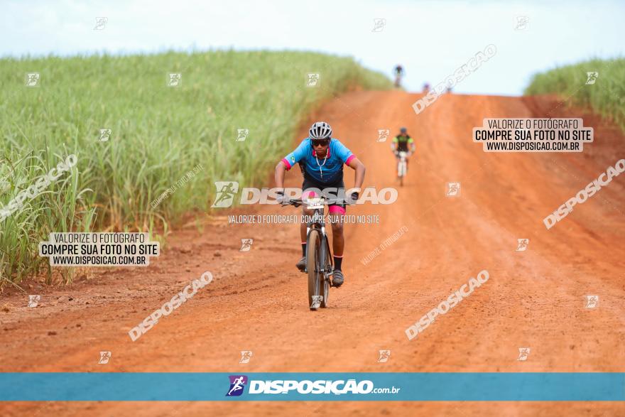 1ª EDIÇÃO DESAFIO ABELHA GRANDE - XCM