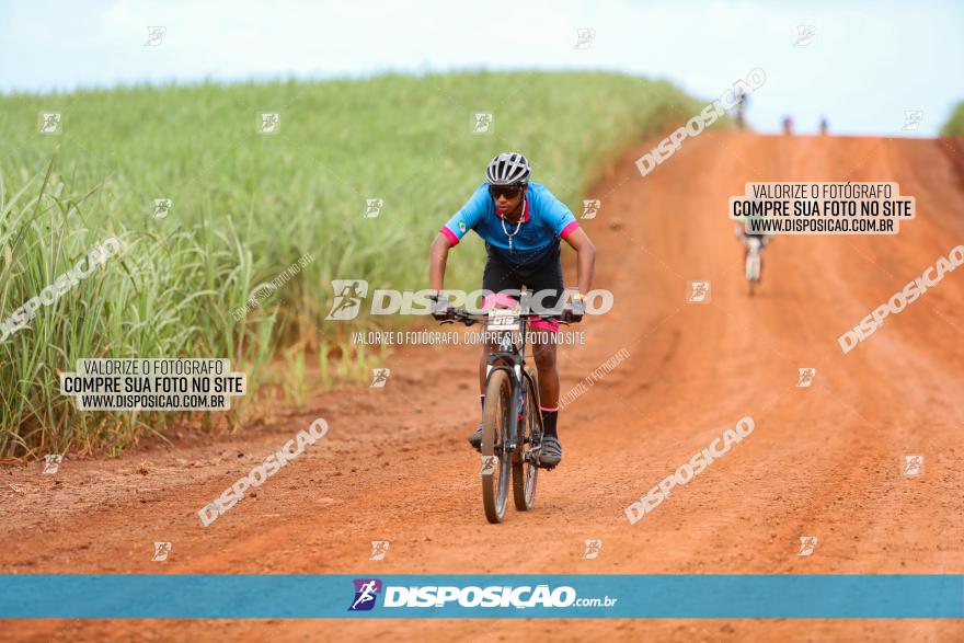 1ª EDIÇÃO DESAFIO ABELHA GRANDE - XCM