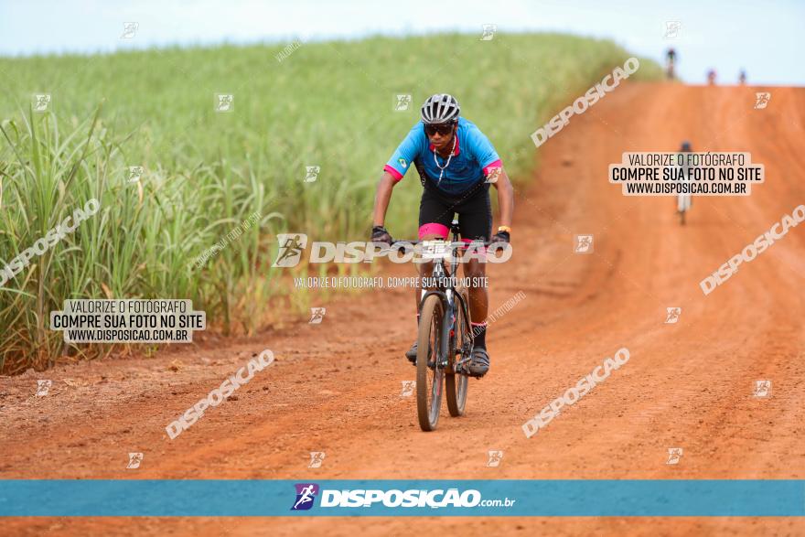 1ª EDIÇÃO DESAFIO ABELHA GRANDE - XCM