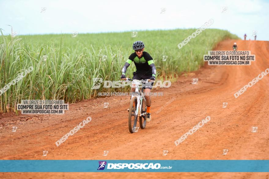 1ª EDIÇÃO DESAFIO ABELHA GRANDE - XCM