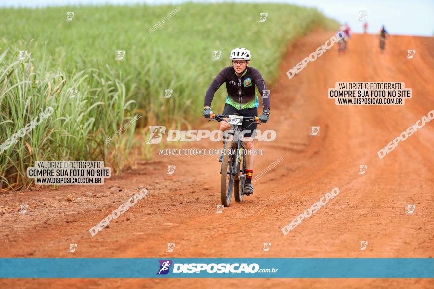 1ª EDIÇÃO DESAFIO ABELHA GRANDE - XCM