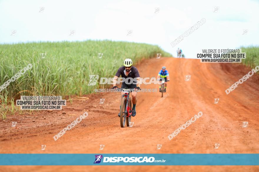 1ª EDIÇÃO DESAFIO ABELHA GRANDE - XCM