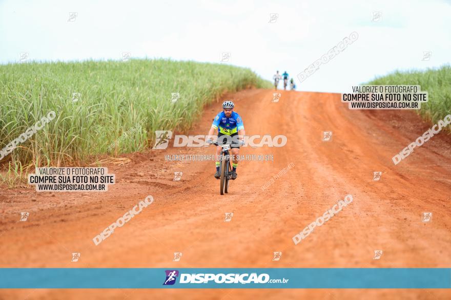 1ª EDIÇÃO DESAFIO ABELHA GRANDE - XCM