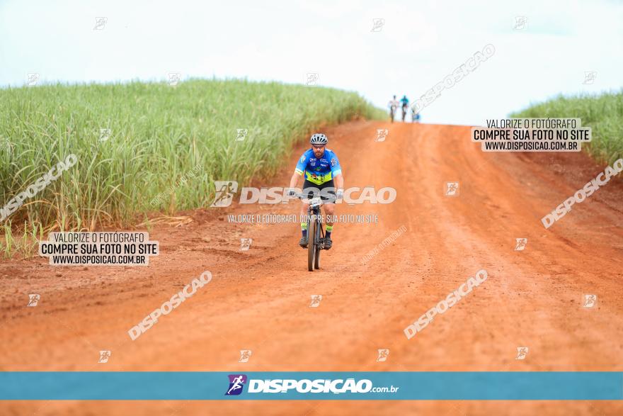 1ª EDIÇÃO DESAFIO ABELHA GRANDE - XCM