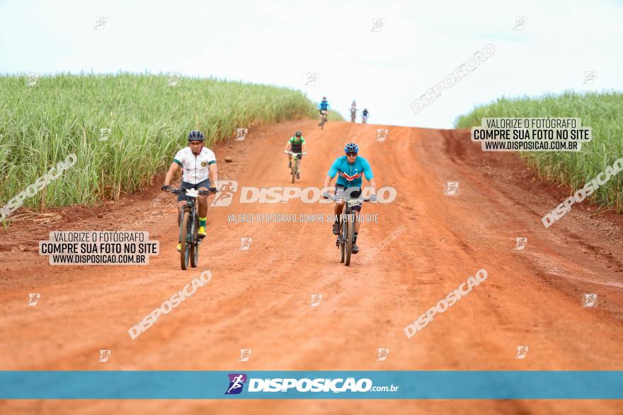 1ª EDIÇÃO DESAFIO ABELHA GRANDE - XCM