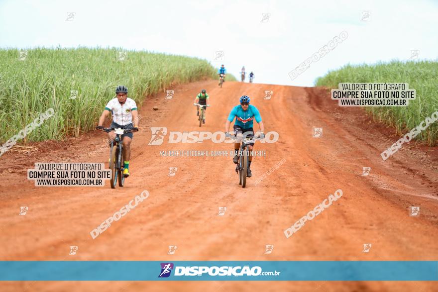 1ª EDIÇÃO DESAFIO ABELHA GRANDE - XCM