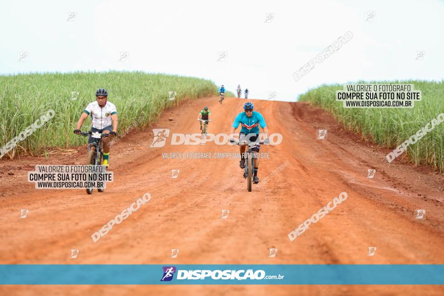 1ª EDIÇÃO DESAFIO ABELHA GRANDE - XCM