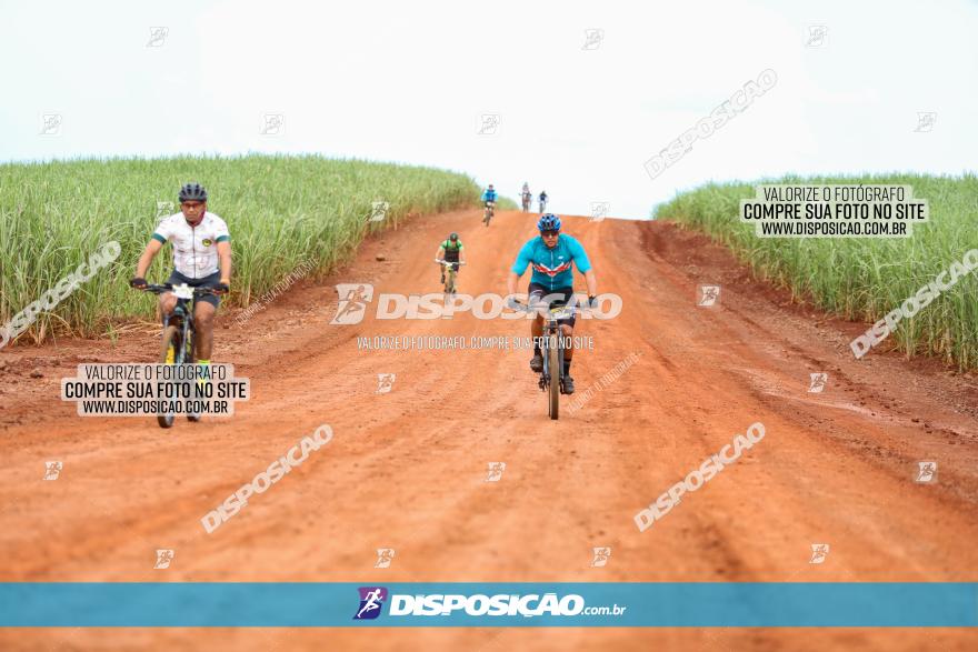 1ª EDIÇÃO DESAFIO ABELHA GRANDE - XCM