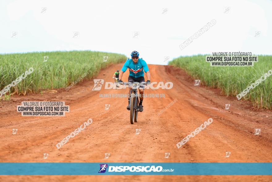 1ª EDIÇÃO DESAFIO ABELHA GRANDE - XCM