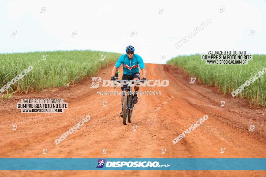 1ª EDIÇÃO DESAFIO ABELHA GRANDE - XCM