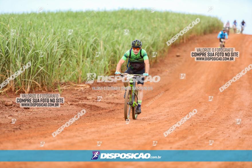 1ª EDIÇÃO DESAFIO ABELHA GRANDE - XCM