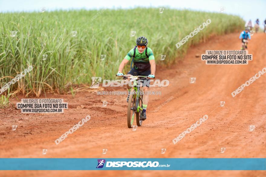 1ª EDIÇÃO DESAFIO ABELHA GRANDE - XCM