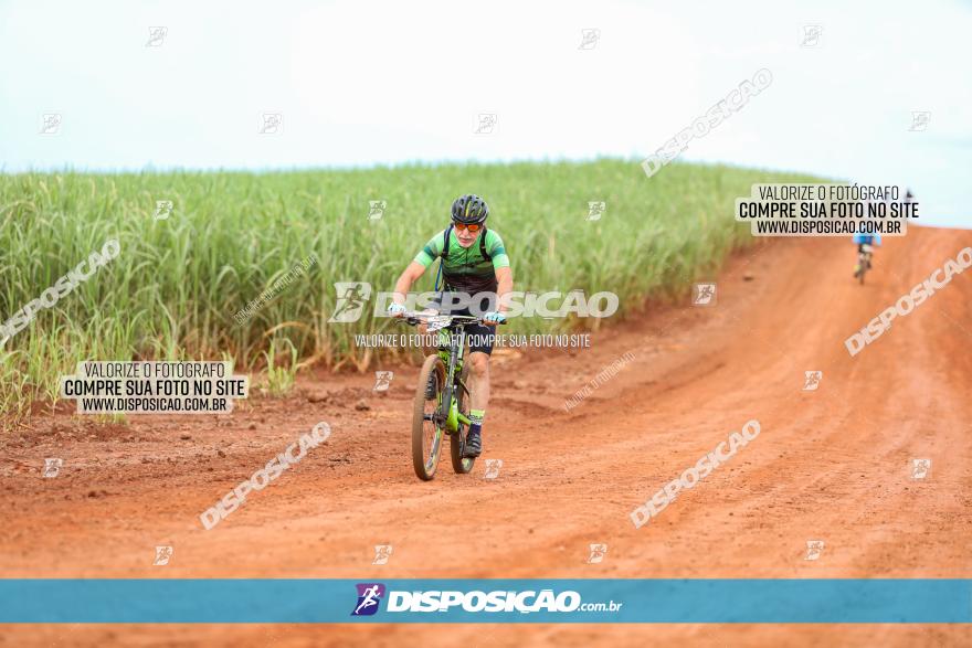 1ª EDIÇÃO DESAFIO ABELHA GRANDE - XCM