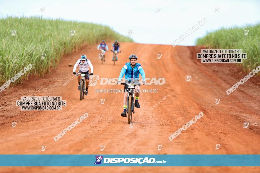 1ª EDIÇÃO DESAFIO ABELHA GRANDE - XCM