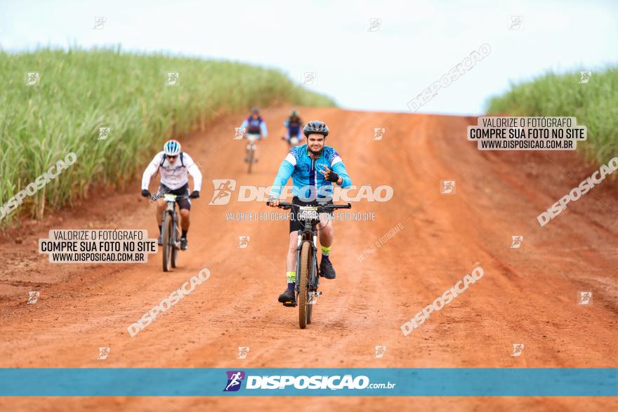 1ª EDIÇÃO DESAFIO ABELHA GRANDE - XCM