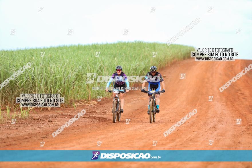 1ª EDIÇÃO DESAFIO ABELHA GRANDE - XCM