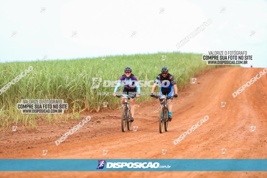 1ª EDIÇÃO DESAFIO ABELHA GRANDE - XCM