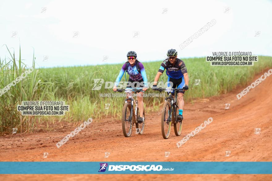 1ª EDIÇÃO DESAFIO ABELHA GRANDE - XCM