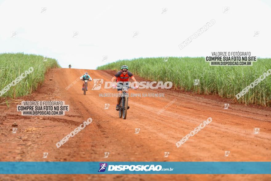 1ª EDIÇÃO DESAFIO ABELHA GRANDE - XCM