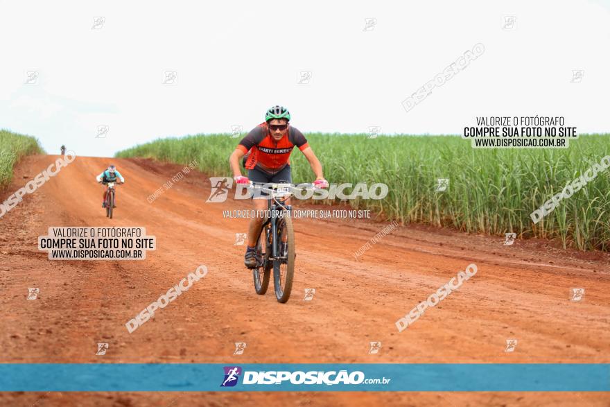 1ª EDIÇÃO DESAFIO ABELHA GRANDE - XCM