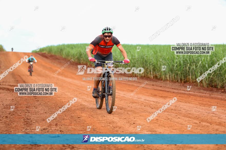 1ª EDIÇÃO DESAFIO ABELHA GRANDE - XCM