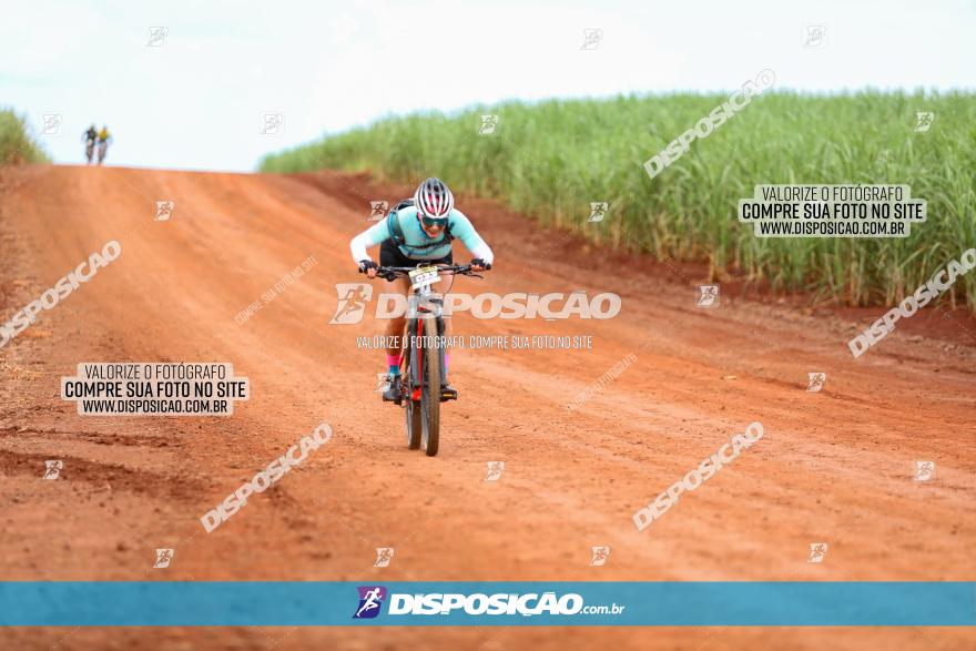 1ª EDIÇÃO DESAFIO ABELHA GRANDE - XCM