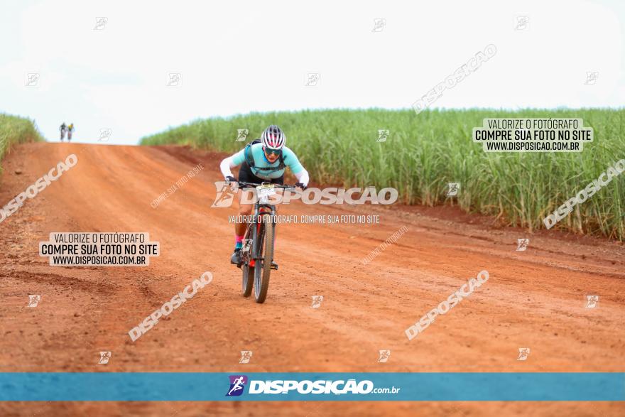 1ª EDIÇÃO DESAFIO ABELHA GRANDE - XCM