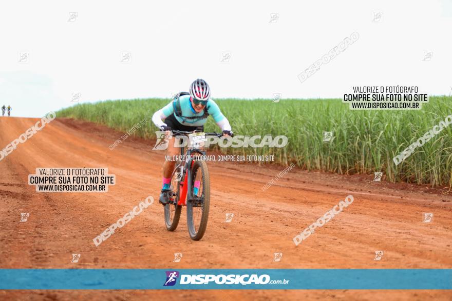 1ª EDIÇÃO DESAFIO ABELHA GRANDE - XCM