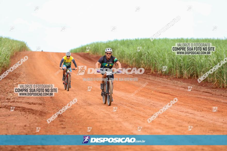 1ª EDIÇÃO DESAFIO ABELHA GRANDE - XCM