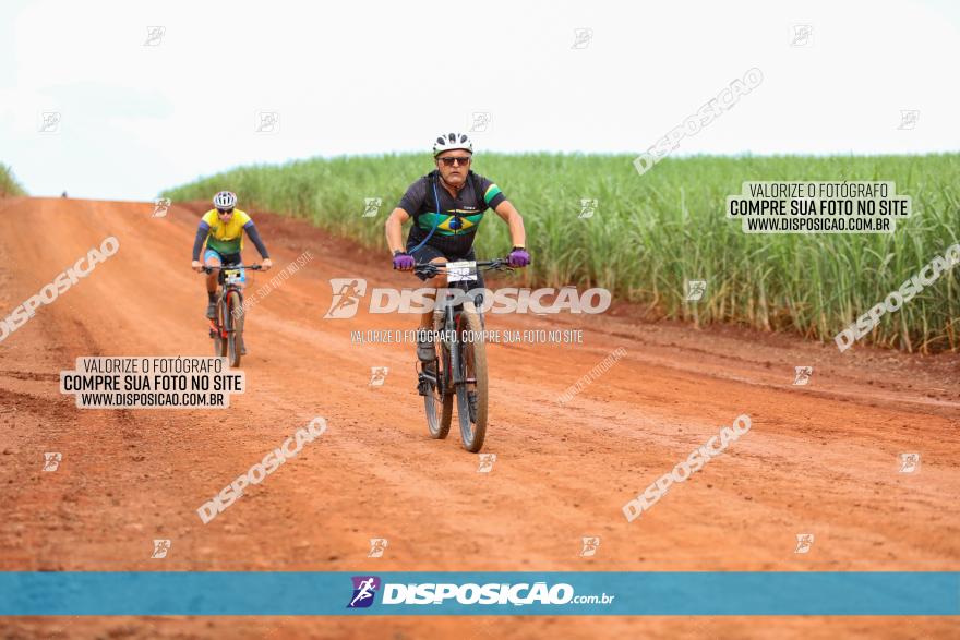 1ª EDIÇÃO DESAFIO ABELHA GRANDE - XCM