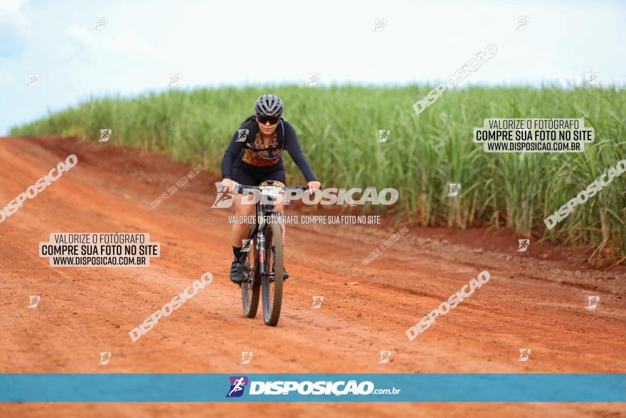 1ª EDIÇÃO DESAFIO ABELHA GRANDE - XCM