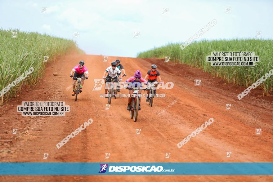 1ª EDIÇÃO DESAFIO ABELHA GRANDE - XCM